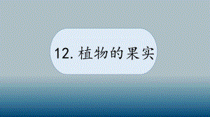 科学青岛版三年级下册（2019年新编）12 植物的果实 课件.pptx