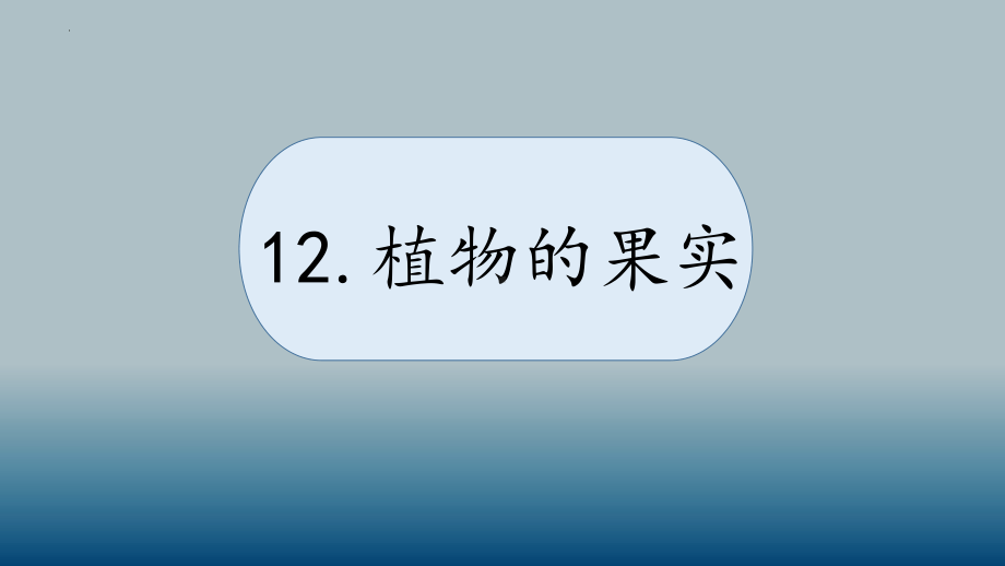 科学青岛版三年级下册（2019年新编）12 植物的果实 课件.pptx_第1页