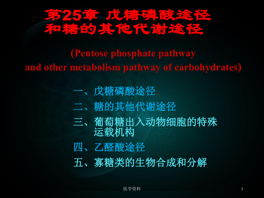 生物化学-戊糖磷酸途径和糖的其他代谢途径课件.ppt_第1页