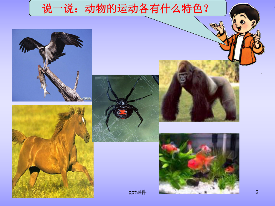 湘教版四年级科学上册-动物的特征课件.ppt_第2页