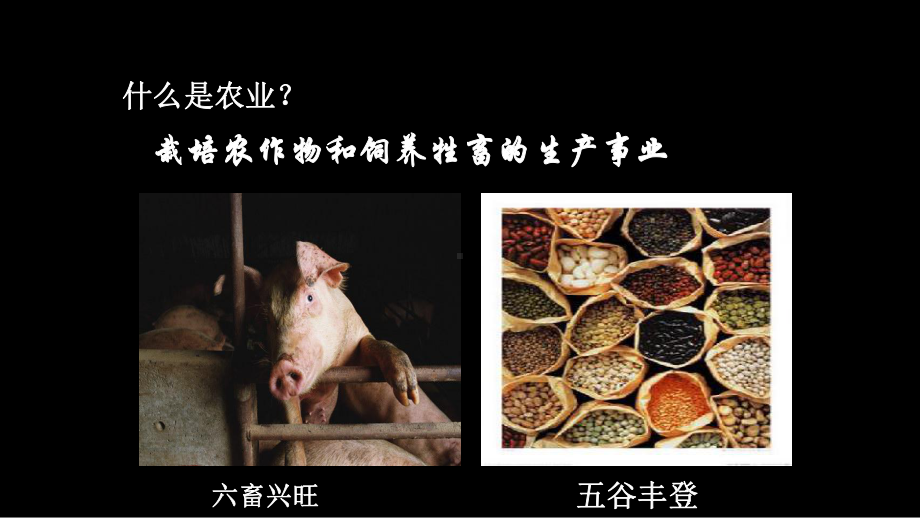 河姆渡出土之陶器课件.ppt_第2页