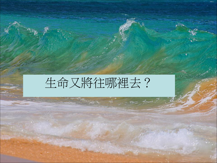 生命教育在校园中实践-课件.ppt_第3页