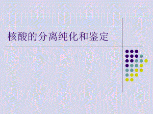 核酸的分离纯化和鉴定课件.ppt