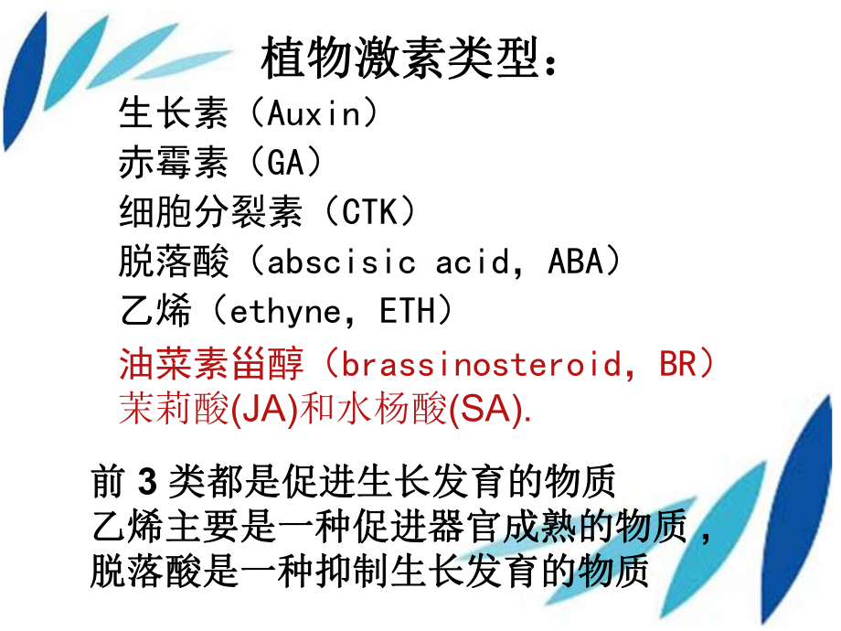 植物激素及其作用机理综述课件.ppt_第3页