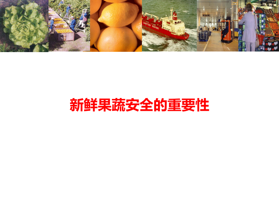 新鲜果蔬安全的重要性课件.ppt_第1页