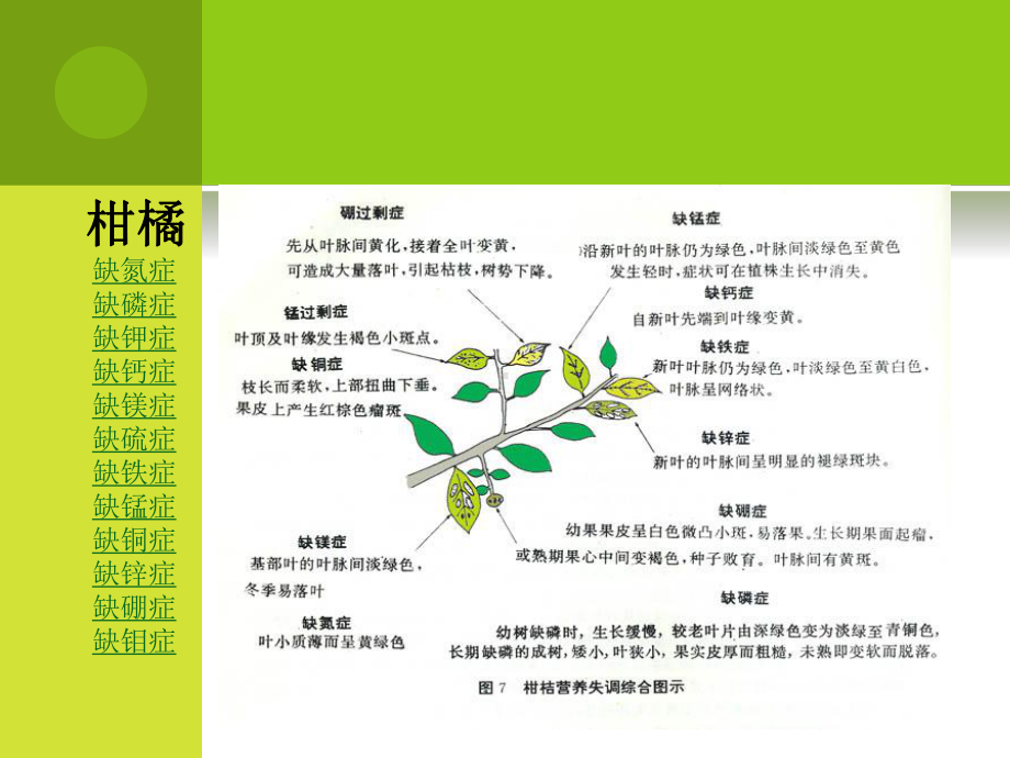 柑橘缺素症课件.ppt_第1页