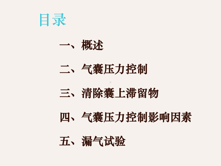 气囊管理-课件.ppt_第2页