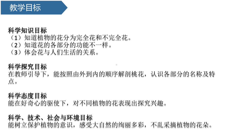 科学青岛版三年级下册（2019年新编）11 植物的花 课件.pptx_第2页