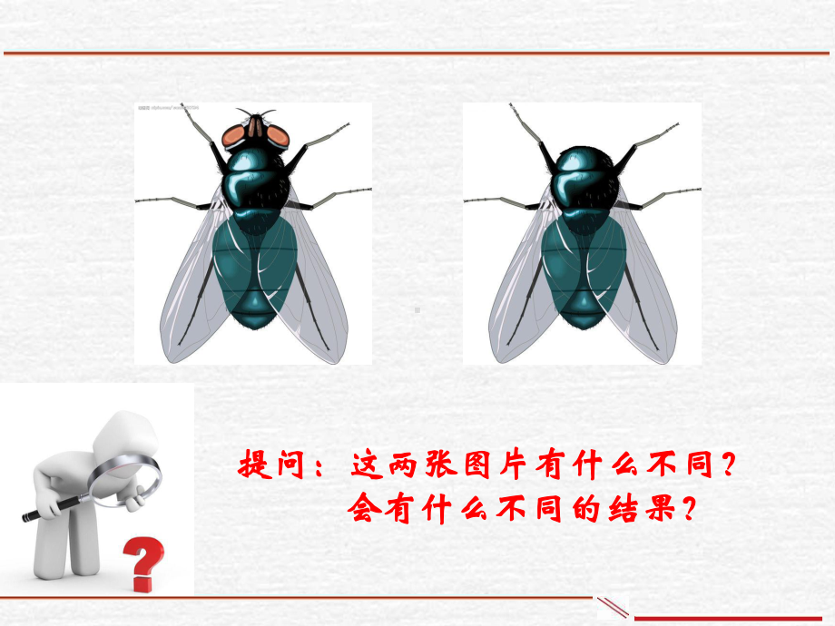 服务顾问能力培养-经典课件.ppt_第2页