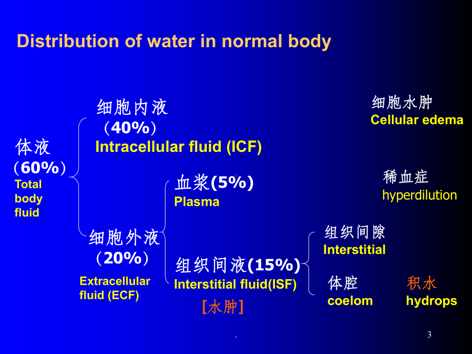 水肿完整课件.ppt_第3页