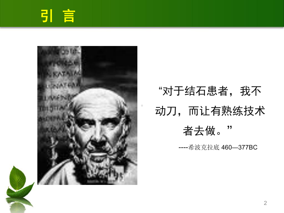 泌尿系结石诊断及治疗课件.ppt_第2页