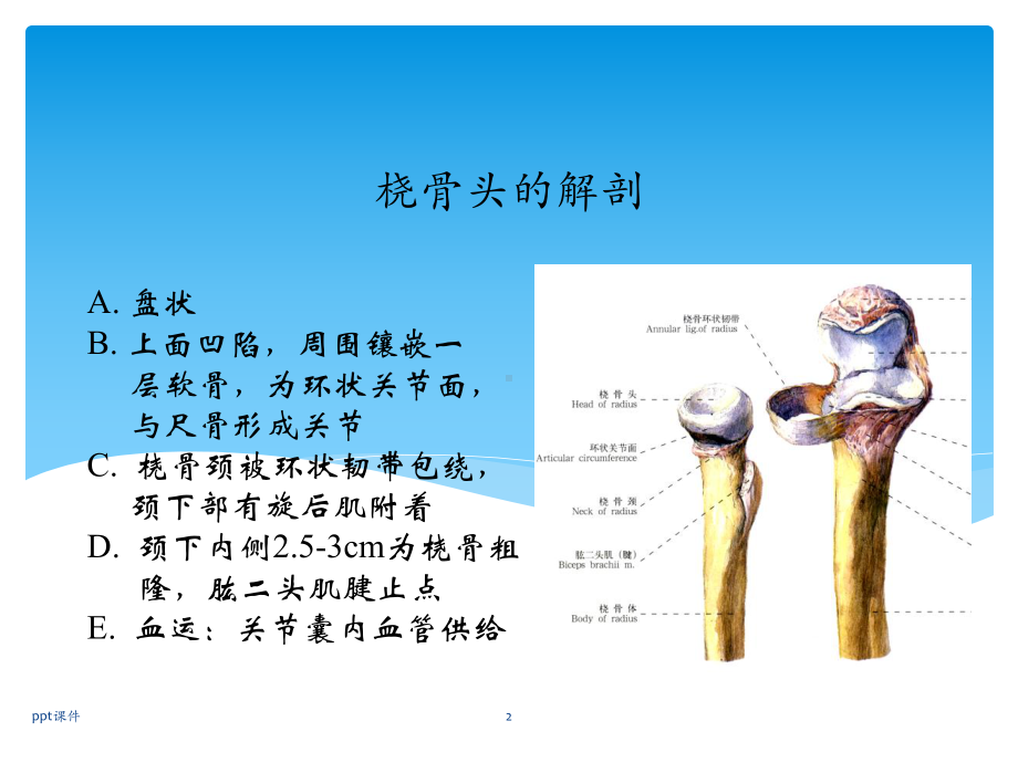 汇报桡骨小头骨折-课件.ppt_第2页