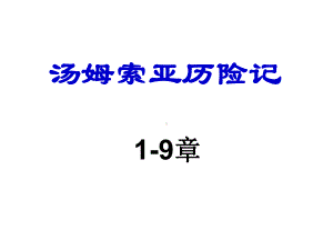 汤姆索亚历险记-问答课件.ppt