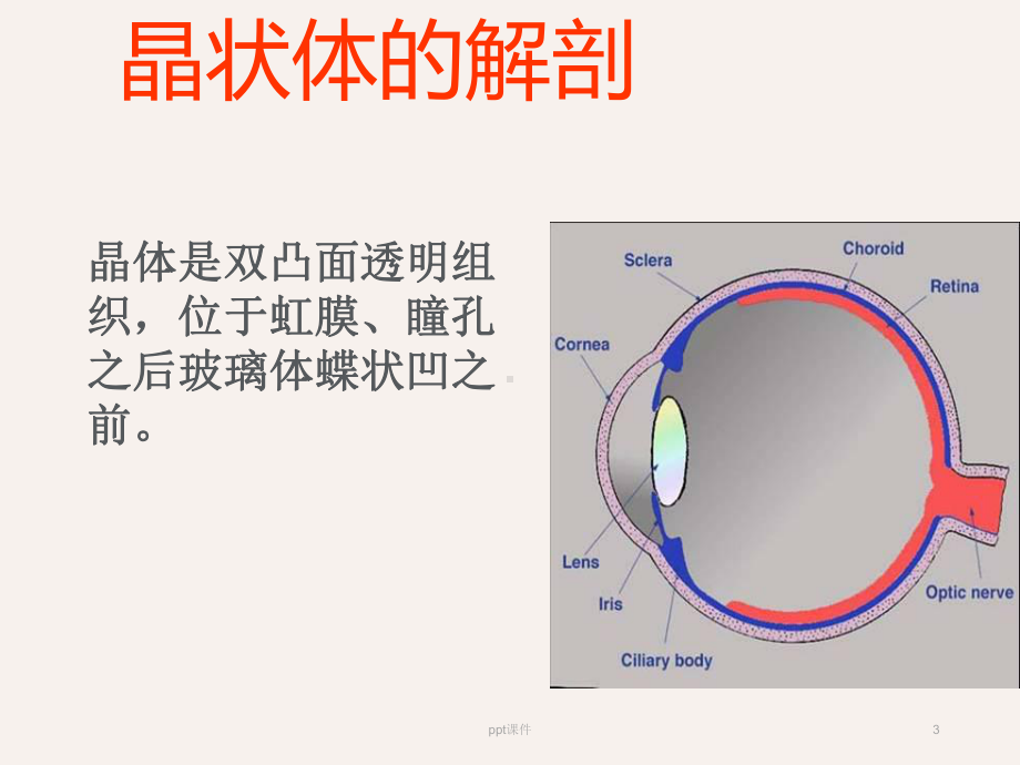 晶状体疾病及其护理-课件.ppt_第3页