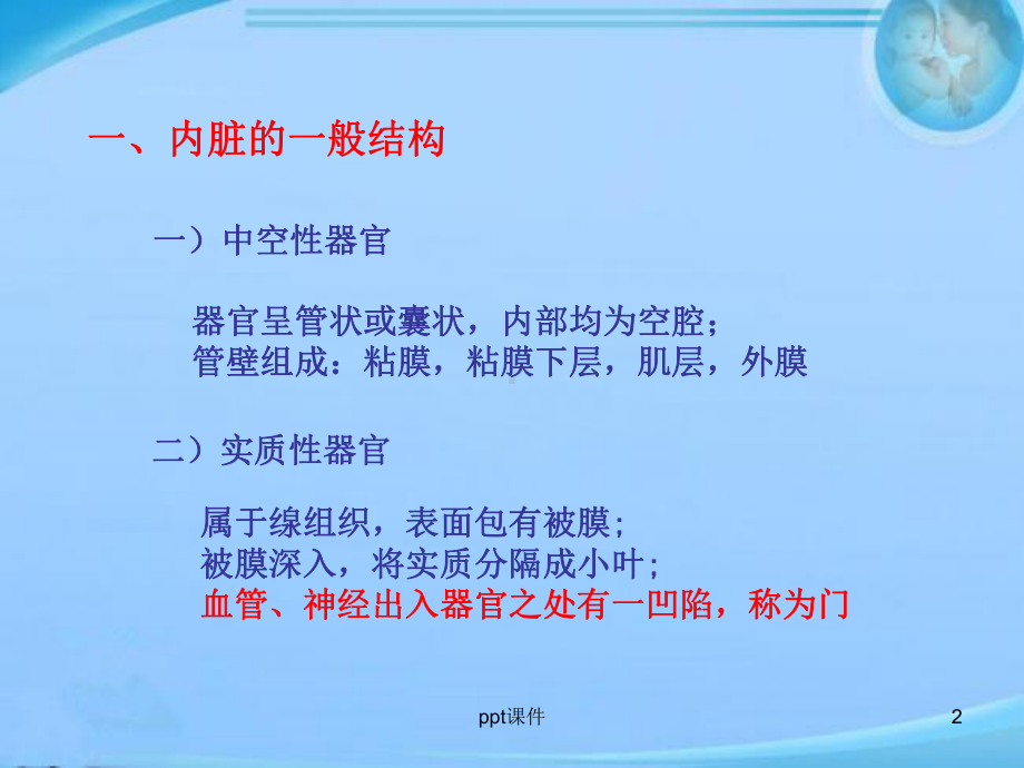 消化系统概述-口腔-课件.ppt_第2页