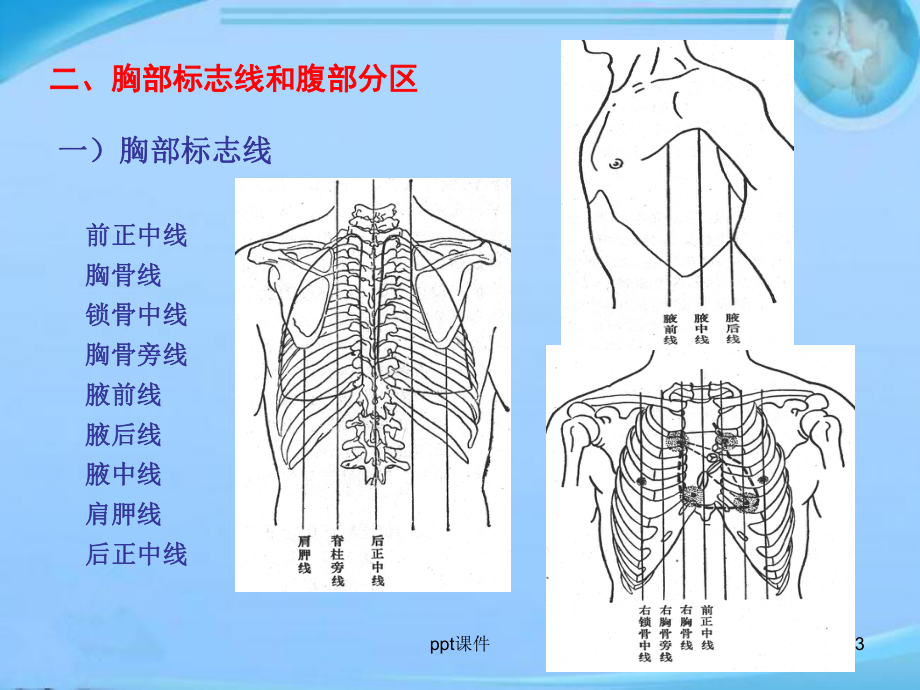 消化系统概述-口腔-课件.ppt_第3页