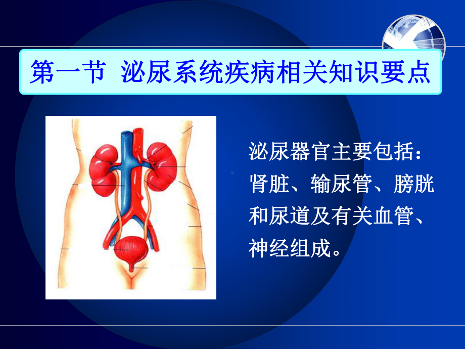 泌尿系统疾病病人护理-课件.ppt_第2页