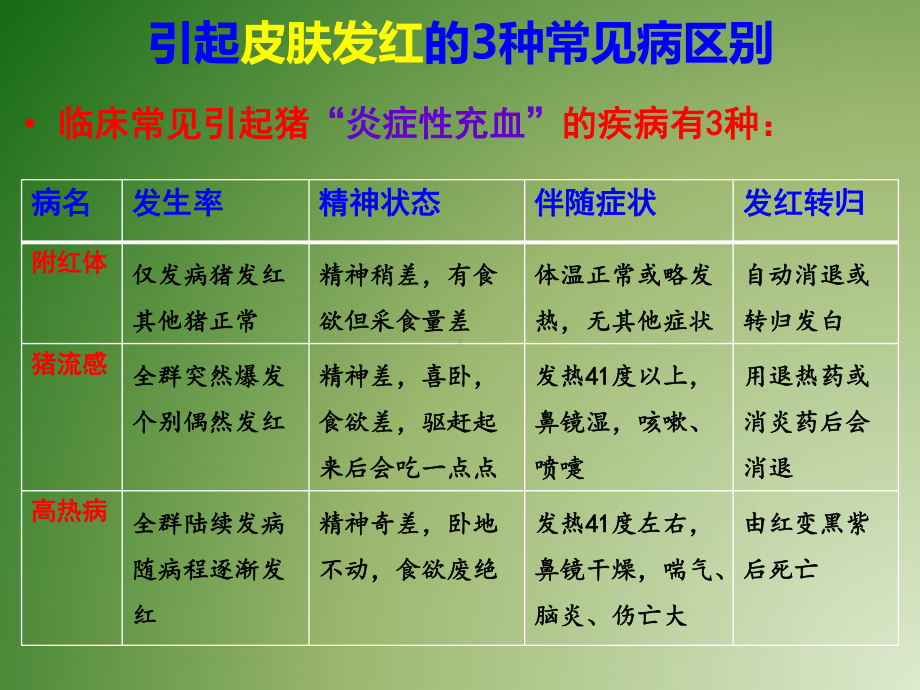 猪皮肤发红发黄发白是什么病概要课件.ppt_第3页