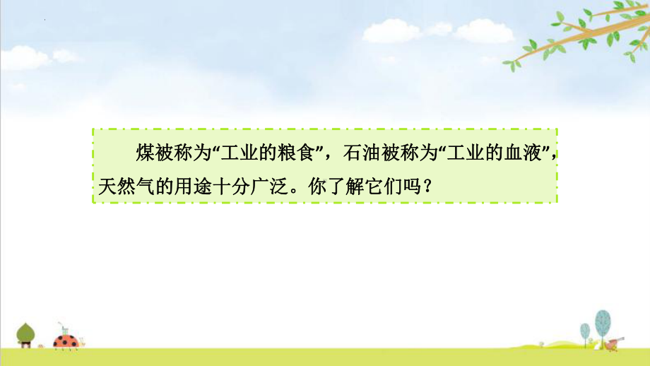 科学青岛版六年级下册（2023年新编）9 煤 石油 天然气 课件.pptx_第2页