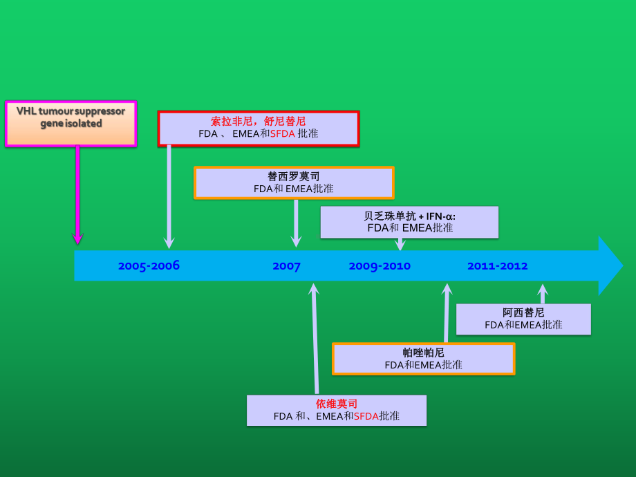 晚期肾癌的治疗进展课件.ppt_第3页