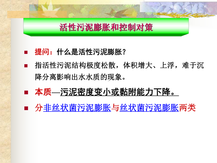 活性污泥丝状膨胀方案.ppt_第3页