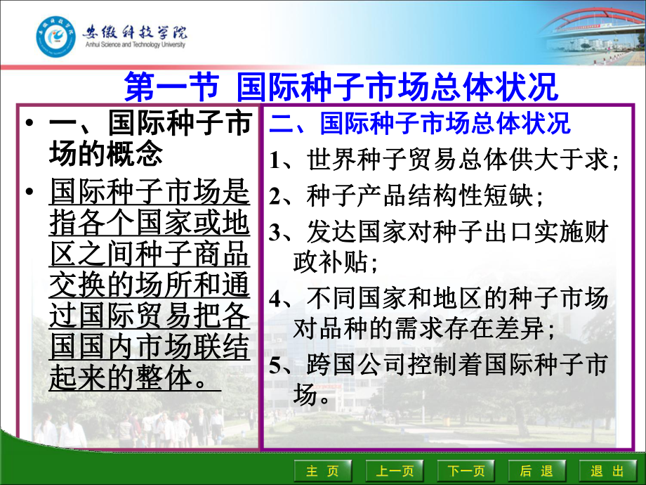 生物学-国际种子市场战略课件-17p.pptx_第3页