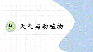 科学青岛版二年级下册（2018年新编）9 天气与动植物 课件.pptx