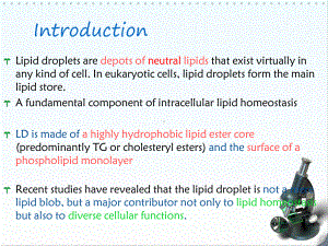 生化脂滴课件.pptx
