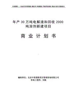 年产30万吨电解液和回收2000吨溶剂新建项目商业计划书写作模板-融资招商.doc