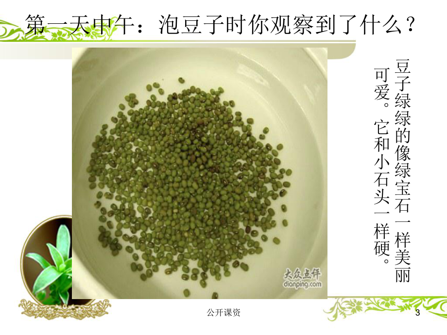 绿豆芽观察日记(学习课资)课件.ppt_第3页