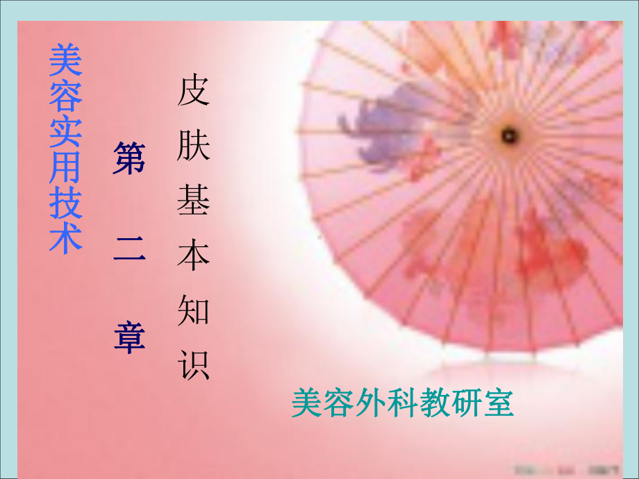 第二章皮肤基本知识第一节课件.ppt_第1页