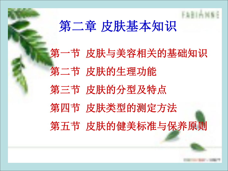 第二章皮肤基本知识第一节课件.ppt_第3页