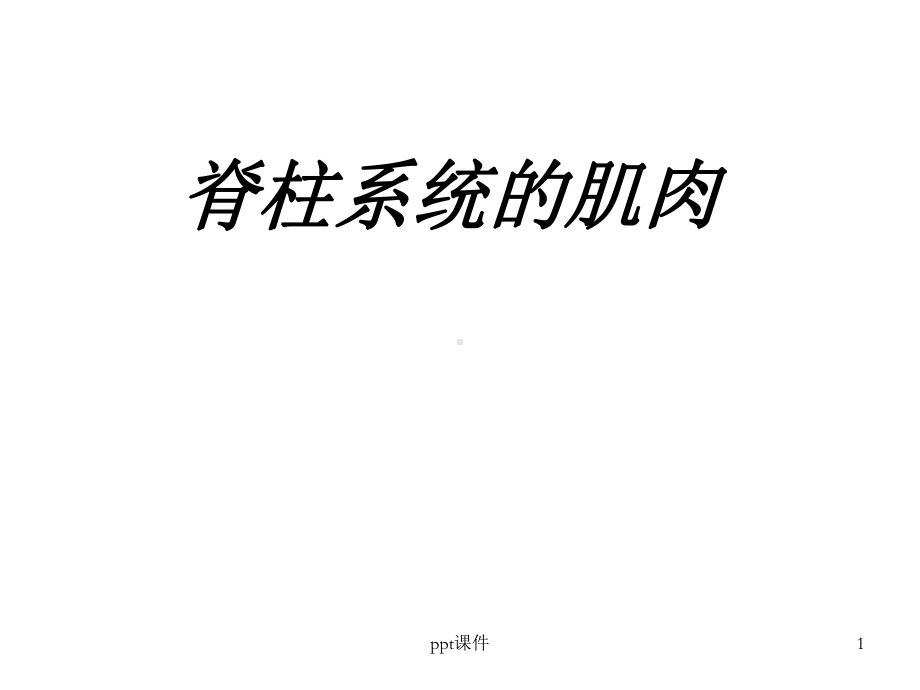 脊柱系统的肌肉-课件.ppt_第1页