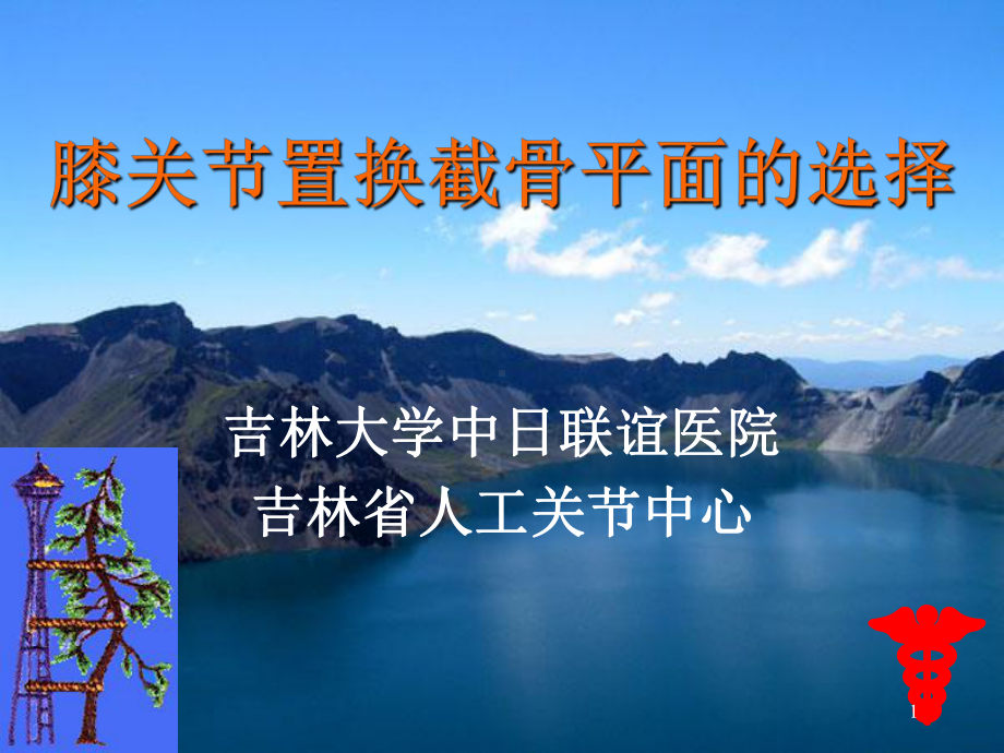 膝关节置换截骨平面的选择课件.ppt_第1页