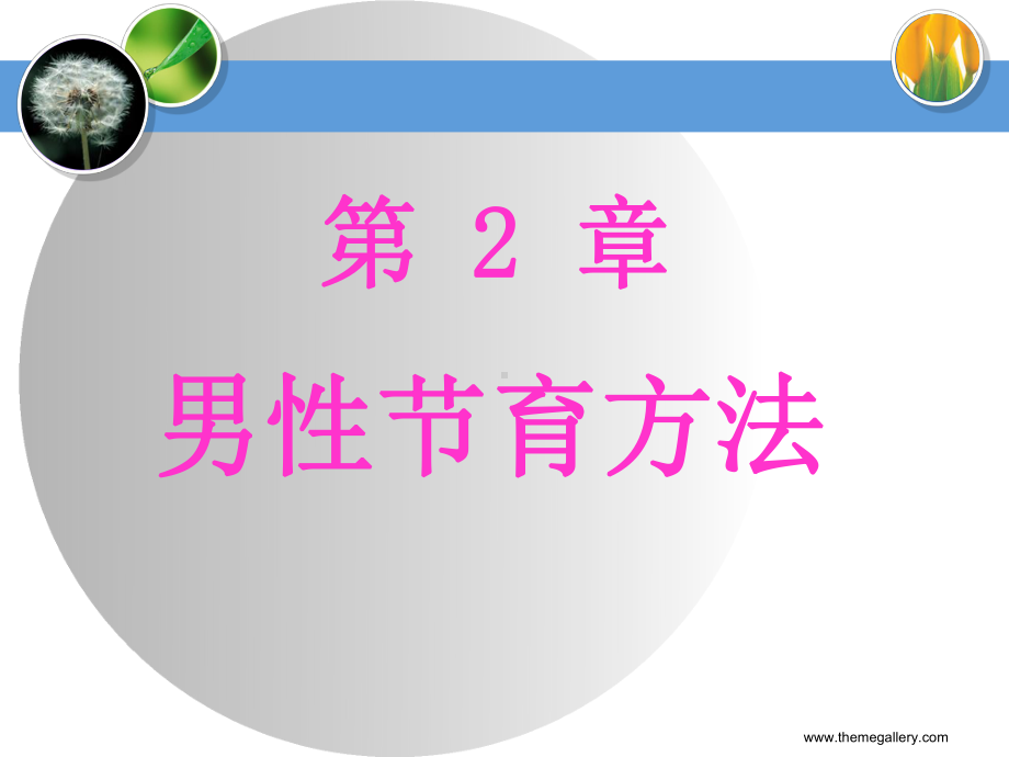 男性节育方法教学课件.ppt_第1页