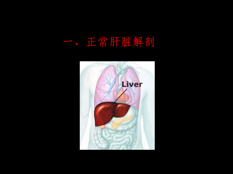 肝脏超声诊断课件(同名767).ppt_第2页