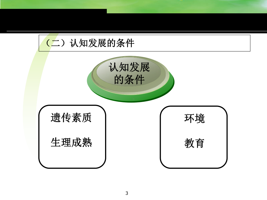 第十章影响学习的认知与人格因素课件.ppt_第3页