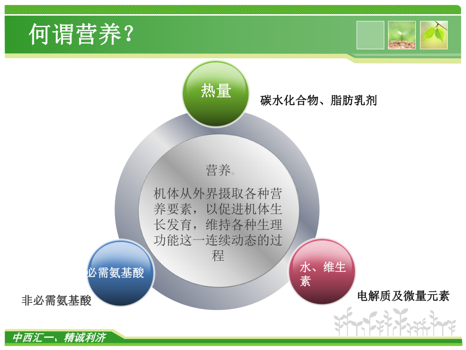 肠外营养的管理—陈霞飞分析课件.ppt_第3页