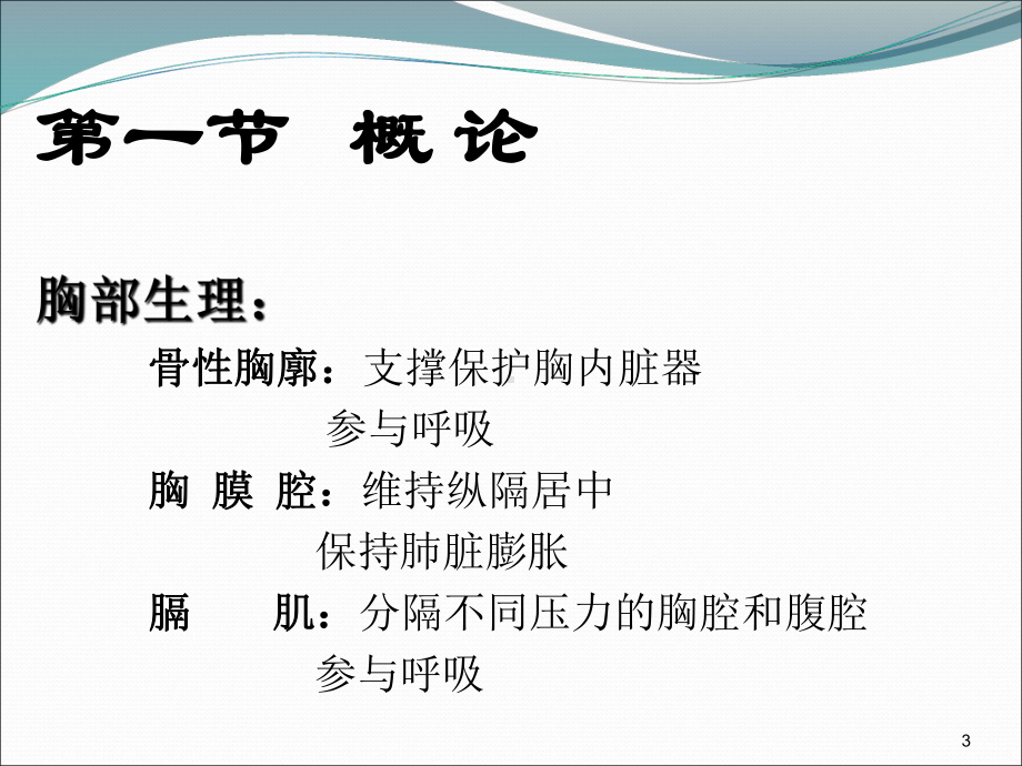 胸部损伤胸部解剖课件.ppt_第3页