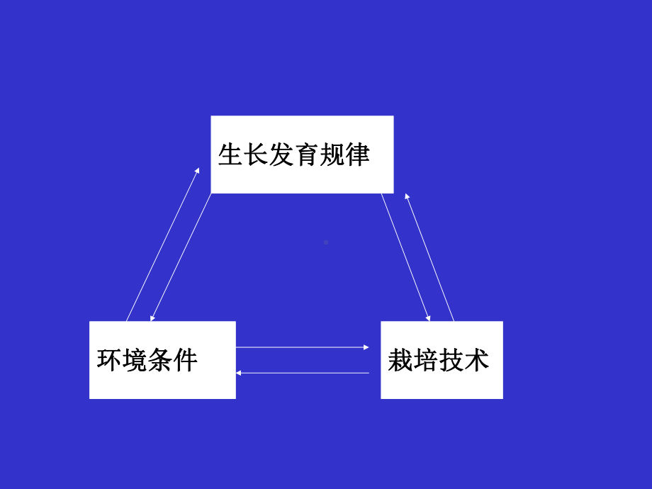 第三章-果树器官生长发育shao课件.ppt_第2页