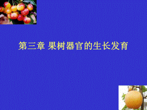 第三章-果树器官生长发育shao课件.ppt