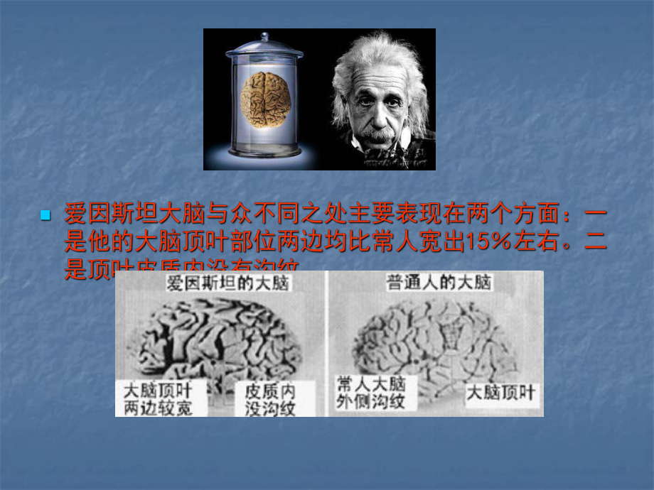 神经系统的发生医学课件.ppt_第2页