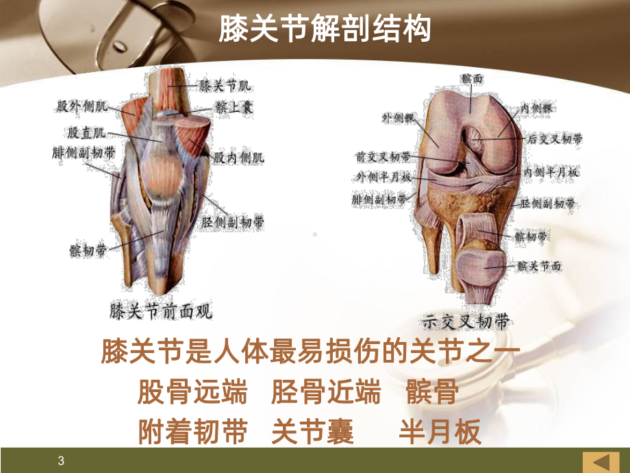 膝关节康复训练课件.ppt_第3页