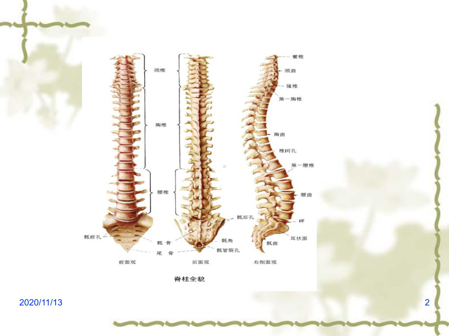 脊柱骨折的护理-课件.ppt_第2页