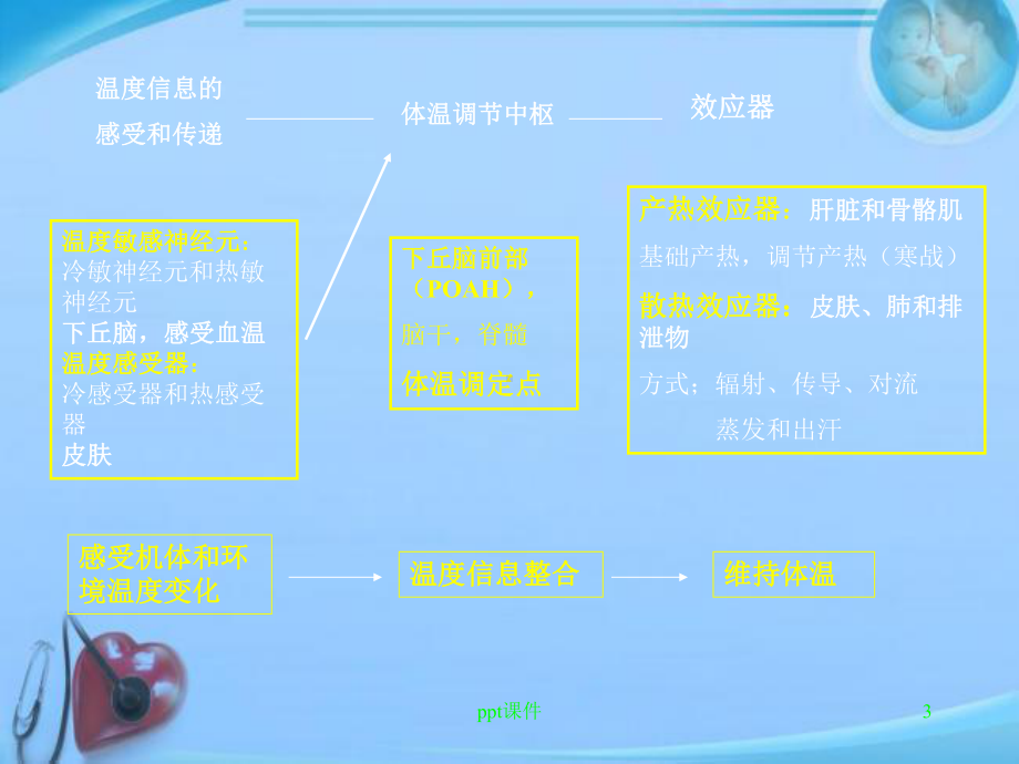 病理学发热-课件.ppt_第3页