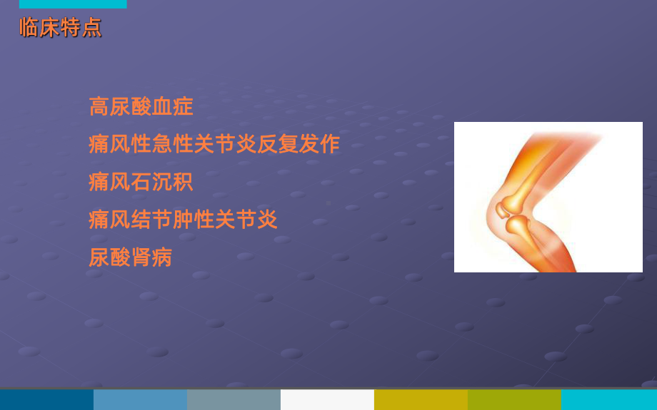 痛风病人的护理-ppt课件.ppt_第3页