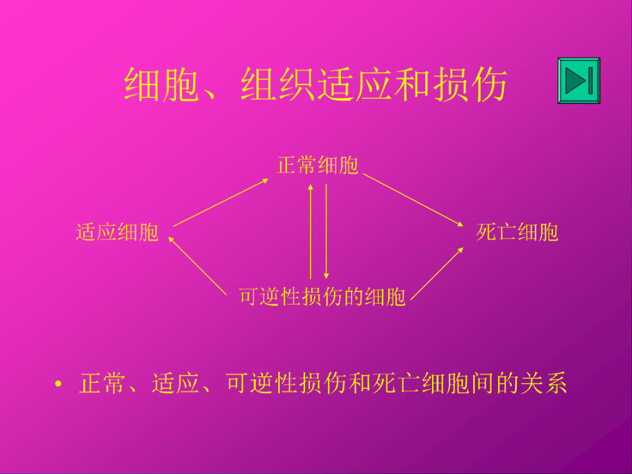 病理学课件-细胞和组织的适应损伤与修复.ppt_第2页