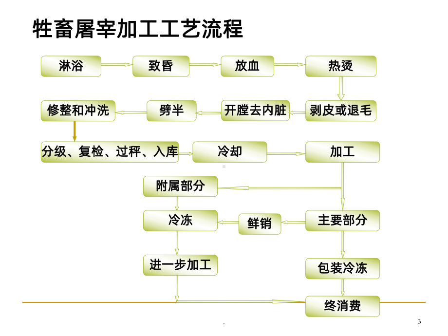 畜禽屠宰加工工艺课件.ppt_第3页