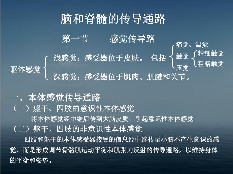 脑和脊髓的传导通路-课件.ppt_第1页