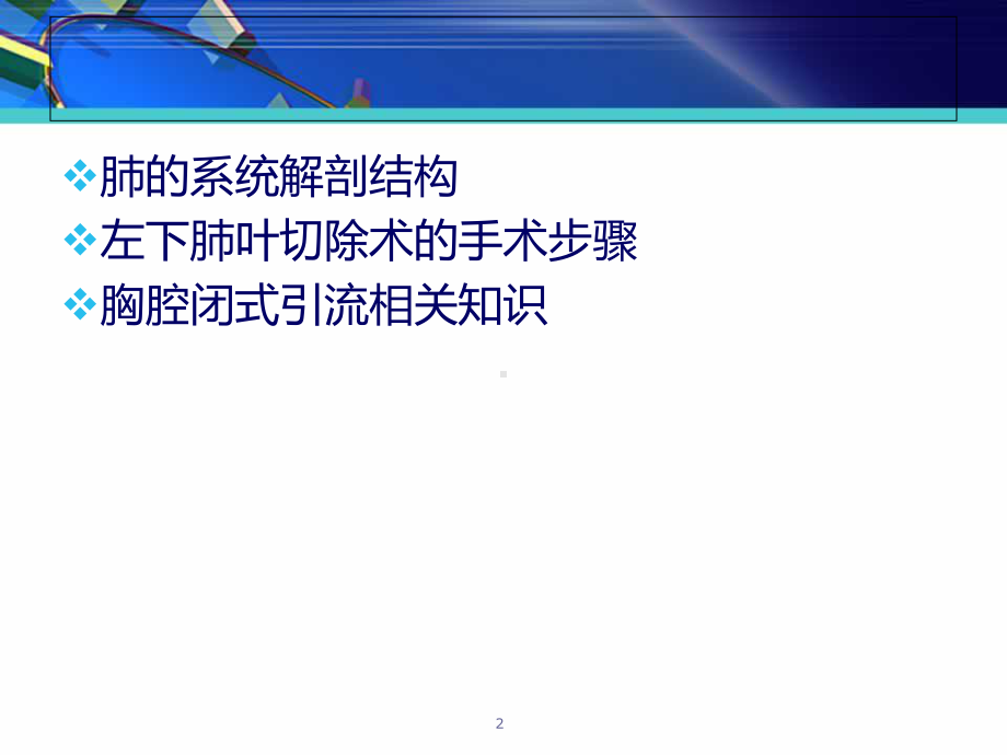 肺叶切除术课件(同名776).ppt_第2页